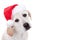 Christmas Xmas Santa Hat Pet Animal Puppy Dog