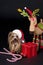 Christmas Yorkshire terrier dog