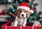 Chritmas scene - A cute puppy dog in a red gift box - AI generated