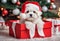 Chritmas scene - A cute puppy dog in a red gift box - AI generated