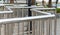 Chrome Metal Guard Rail