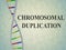 Chromosomal Duplication concept