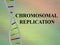 CHROMOSOMAL REPLICATION concept