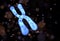 Chromosome Abstract Scientific Background