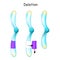 Chromosome Deletion. Genetic mutation