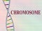 CHROMOSOME - genetic concept