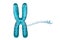 Chromosome with white background, 3d rendering