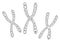 Chromosomes Polygonal Frame Vector Mesh Illustration