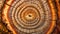 Chronicles of Nature: Tree Rings Background