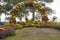 Chrysanthemum Archway at Union Point Park