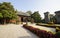 Chrysanthemum bloom in ancient buildings in Henan, China