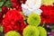 Chrysanthemum Carnation Bouquet Colourful Daisies