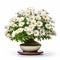 Chrysanthemum Flower Bonsai: A Marguerite Blasingame Inspired Precisionist Masterpiece