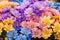 Chrysanthemum flowers bouquet