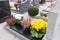 Chrysanthemum and heather plants on tombstones