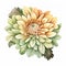 Chrysanthemum Watercolor Illustration: Detailed Compositions In Light Orange And Green