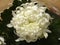 Chrysanthemum White Flower