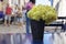 chrysanthemums yellow blossom stands in black pot on table. People walking in the background