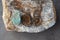 Chrysocolla and Fossil Ammonite