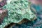 Chrysocolla is a hydrated copper cyclosilicate