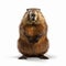 Chuck: A Stunning Groundhog In Hyperrealistic Style