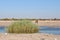 Chudop waterhole in the Etosha National Park,