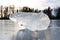 Chunk of ice in frozen lake