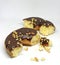 chunks of chocolate donut sprinkled with delicious nuts