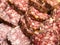 Chunks of dried sausage taken in macro. Meat products. Delicious smoked sausage