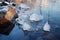 chunks of ice floating on water surface in frosty weather