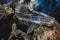 Chunks of ice lie on rocks at the mouth of the river