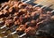 Chunks of meat are cooked on charcoal in the grill - barbecue kebab, shashlik