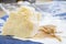 Chunks and rind of parmigiano cheese