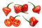 Chupetinhoor Biquinho chiles Capsicum chinense, paths