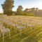 Chuppah and white chairs on a Jewish wedding
