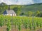 Church amid vineyards at river Moselle