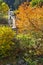 Church of the Assumption and Autumn tree in town of Shiroka Laka, Bulgaria