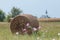 Church, bale of hay and a corn field