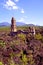 Church buried by the paricutin volcano in uruapan michoacan, mexico I