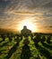 Church Cemetery At The Sunset, Serbia