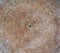 Church dome from the inside, round brown brick background