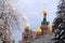 Church domes visible through trees covered in snow