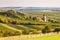 church of Falkenstein with autumnal vineyards, Lower Austria, Au