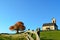 Church and fence in autumn