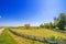 Church fence and road