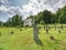 Church and graveyard in Zadni Zvonkova,  a border village