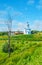 The church on the green meadow, Suzdal