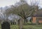 Church grounds with startk trees in cold weather