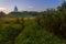 Church on hill morning summer swamp landscape