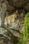 Church in the holy cave in the mountain in Covadonga, Asturias S